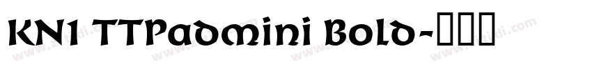 KN1 TTPadmini Bold字体转换